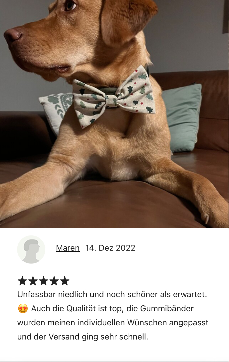 Bewertung_Gentelmo_13